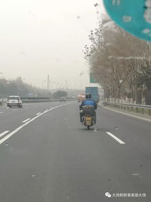 莫拿生命當(dāng)兒戲 行人非機(jī)動(dòng)車上高速公路，危險(xiǎn)至極
